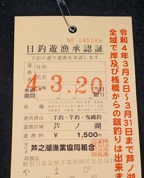 220320芦ノ湖 (4).JPG