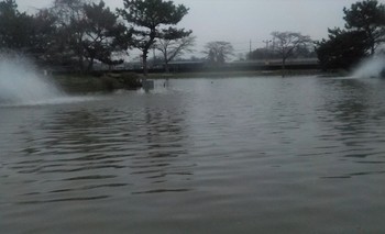 220329秋川湖 (48).JPG