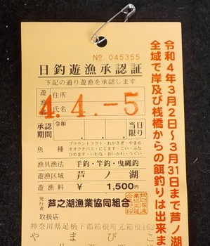 220405芦ノ湖 (3).JPG