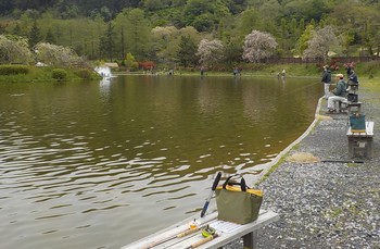 220418秋川湖 (1).JPG