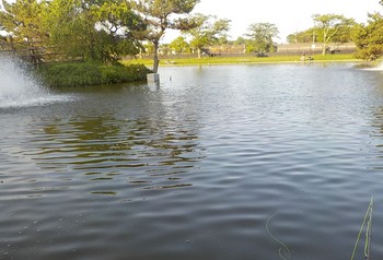 220430秋川湖 (17).JPG