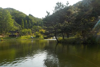 220518秋川湖ボラ (13).JPG