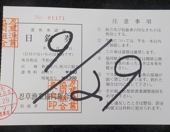 220929忍野 (2).JPG
