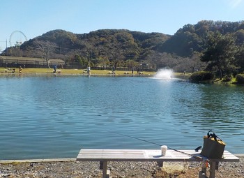 221102秋川湖 (1).JPG