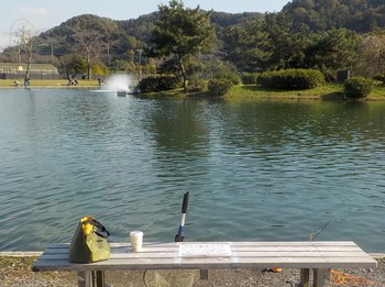 221104秋川湖 (3).JPG