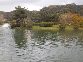 221104秋川湖 (37).JPG
