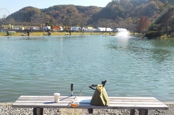 221119秋川湖.JPG