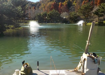 221127秋川湖 (1).JPG