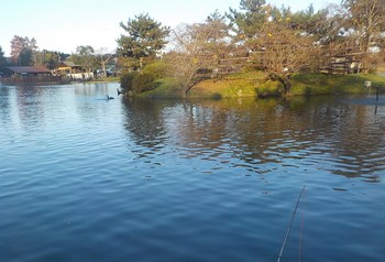 221127秋川湖 (23).JPG