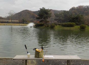 221129秋川湖 (1).JPG