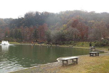 221129秋川湖 (2).JPG