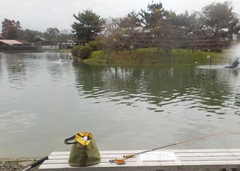 221129秋川湖 (24).JPG