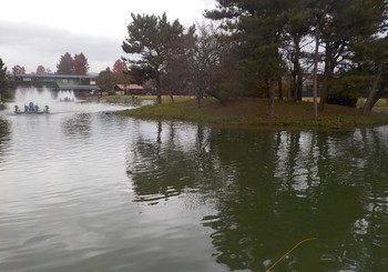 221129秋川湖 (28).JPG