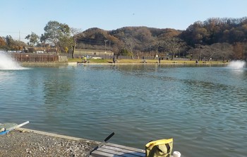 221209秋川湖 (32).JPG