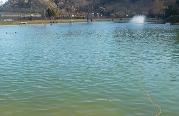 221214秋川湖 (17).JPG