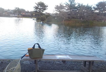 221214秋川湖 (18).JPG
