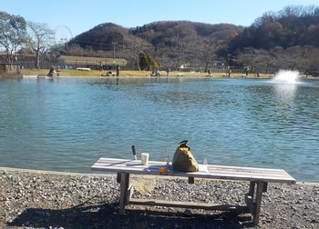 221223秋川湖 (1).JPG
