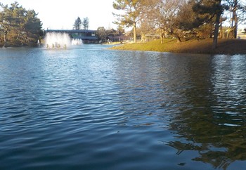 221227秋川湖 (55).JPG