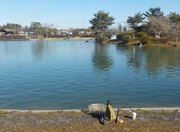 221229秋川湖 (3).JPG