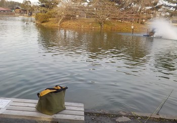 230106秋川湖 (12).JPG