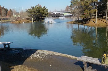 230109秋川湖 (2).JPG