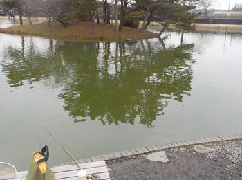 230208秋川湖 (5).JPG