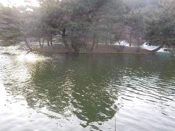 230214秋川湖 (44).JPG