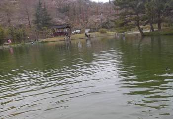 230321秋川湖 (24).JPG