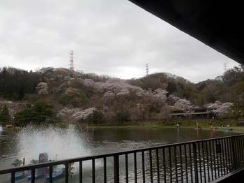 230327秋川湖 (3).JPG