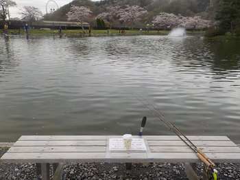 230327秋川湖 (4).JPG