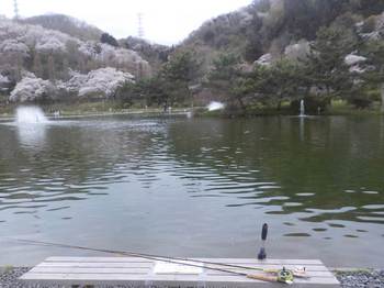 230327秋川湖 (54).JPG