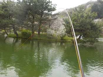 230331秋川湖 (23).JPG