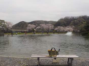 230331秋川湖 (7).JPG