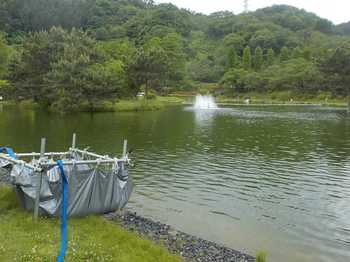 230513秋川湖 (4).JPG