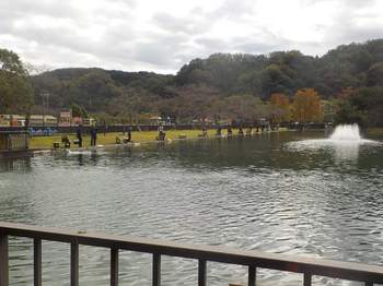 231029秋川湖 (8-1).jpg