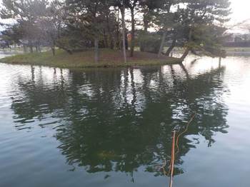 231107秋川湖 (45-1).jpg