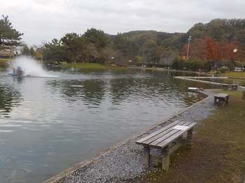 231115秋川湖 (50-1).jpg
