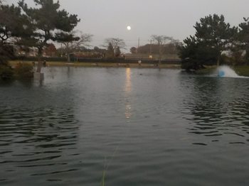 231127秋川湖 (73-1).jpg