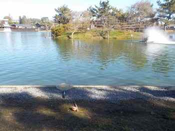 231217秋川湖 (1-1).jpg