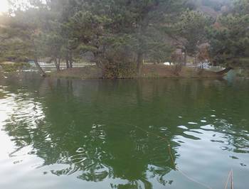 231222秋川湖 (29-1).jpg