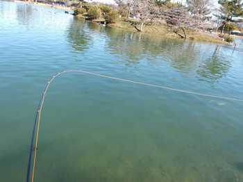 240126秋川湖 (21-1).jpg