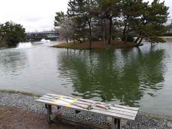 240306秋川湖 (44-1).jpg