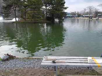 240308秋川湖 (46-1).jpg