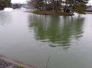 240324秋川湖 (61-1).jpg