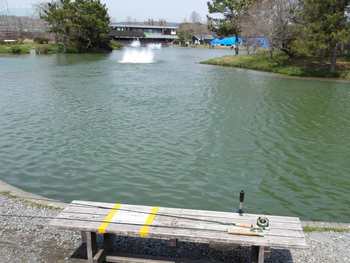 240402秋川湖 (1-1).jpg
