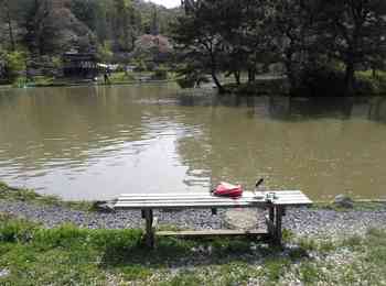 240415秋川湖 (28-1).jpg