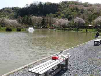 240415秋川湖 (3-1).jpg
